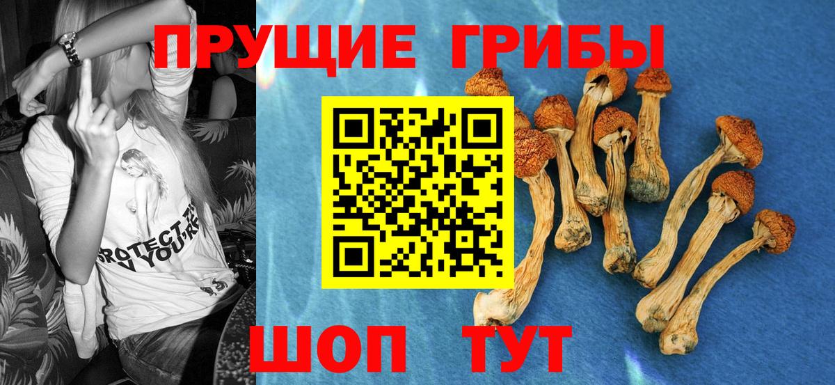 Канаш  Псилоцибиновые грибы мицелий  Вход с VPN 